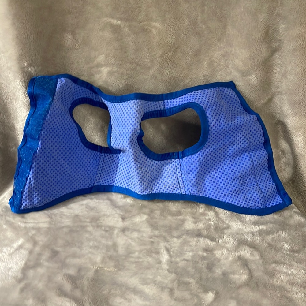 Cooling dog vest
